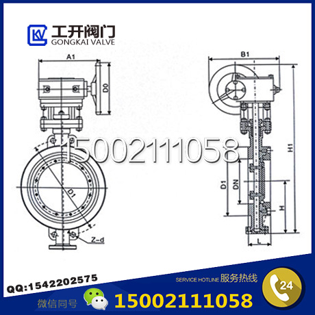 D373H不銹鋼渦輪對夾蝶閥結(jié)構(gòu)圖