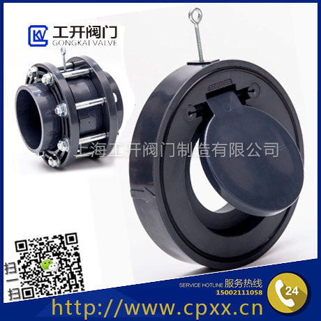 Plastic Check Valve-UPVC Check Valve-Wafer Swing Check Valve-Disc Wafer Check Valve